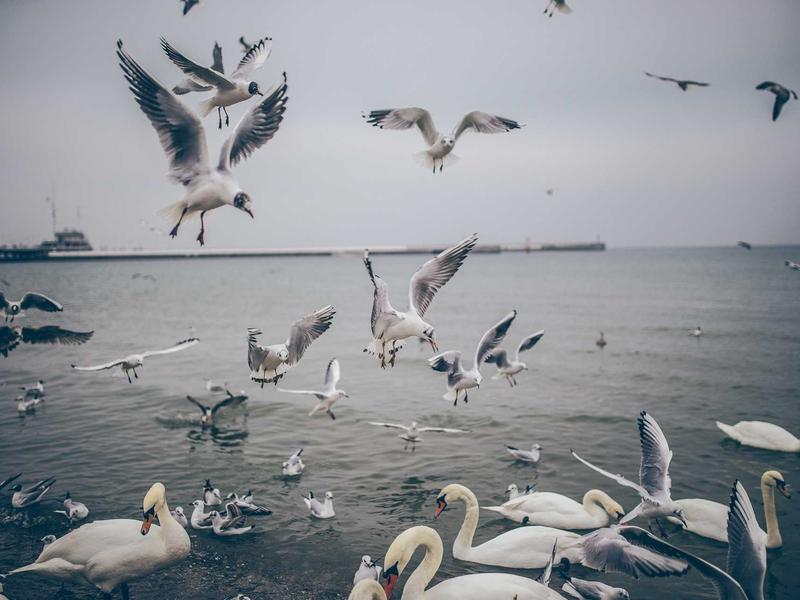 feedback screenshot 5